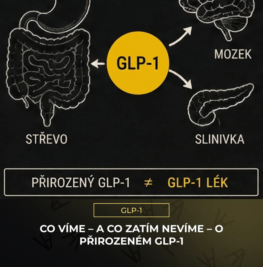 Co víme – a co zatím nevíme – o přirozeném GLP-1 Vojta Hubne