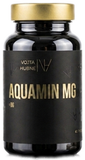Aquamin® Mg + B6
